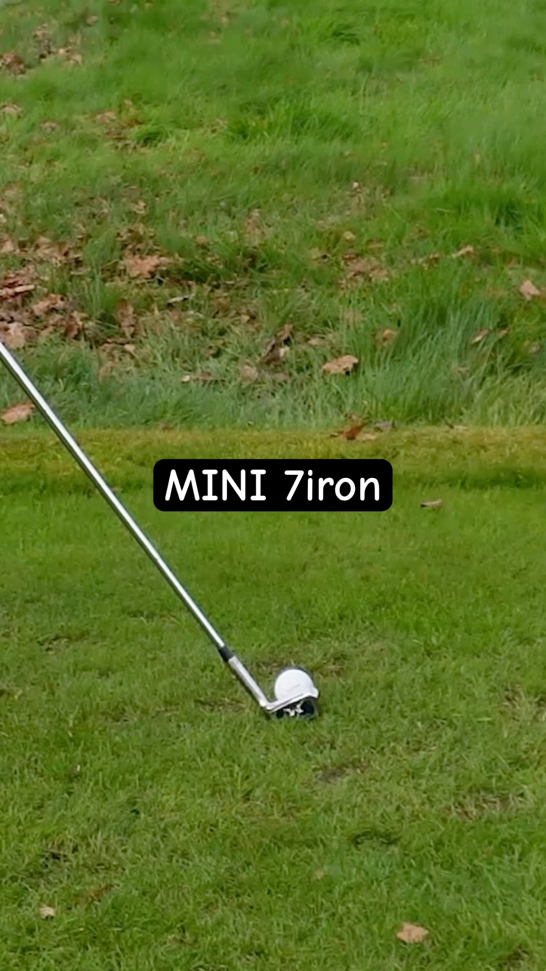 Can I make PAR with Mazel Golf mini 7iron #golf