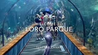 LORO PARQUE, TENERIFE, CANARY 2023, 4K screenshot 4