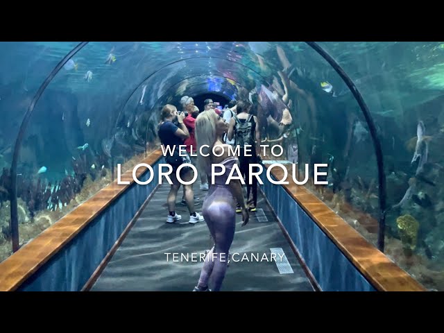 LORO PARQUE, TENERIFE, CANARY 2023, 4K class=