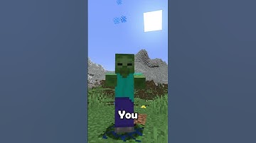 I bet you don