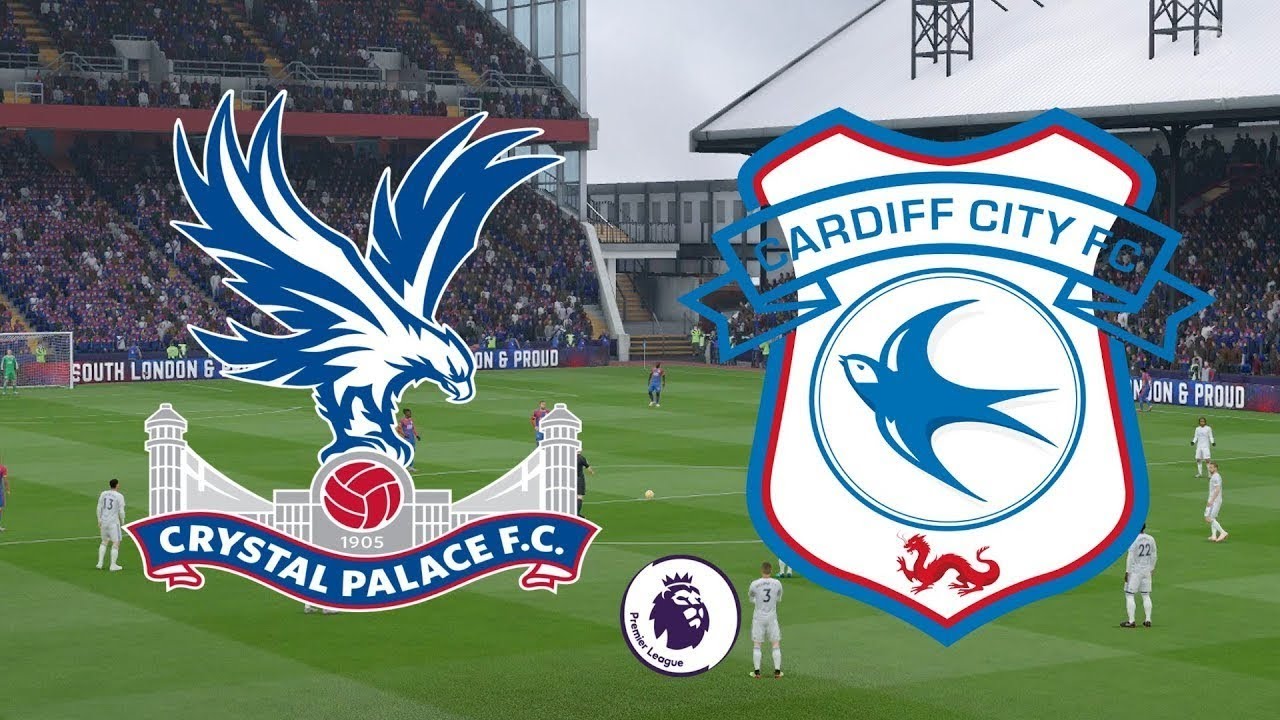 video to gif The Association on DTSSN - Ep 7 - 2013-14 Premier Legaue - Crystal Palace vs Cardiff City
