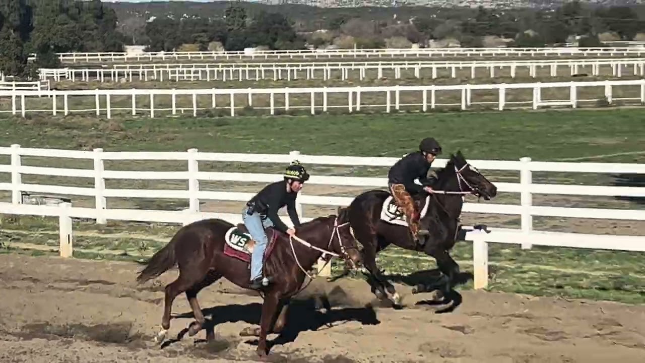 Lovacres Videos – California Thoroughbred Racing & Stallions