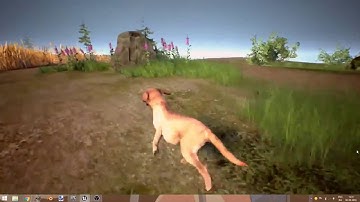 Dogs Life mini game UE4