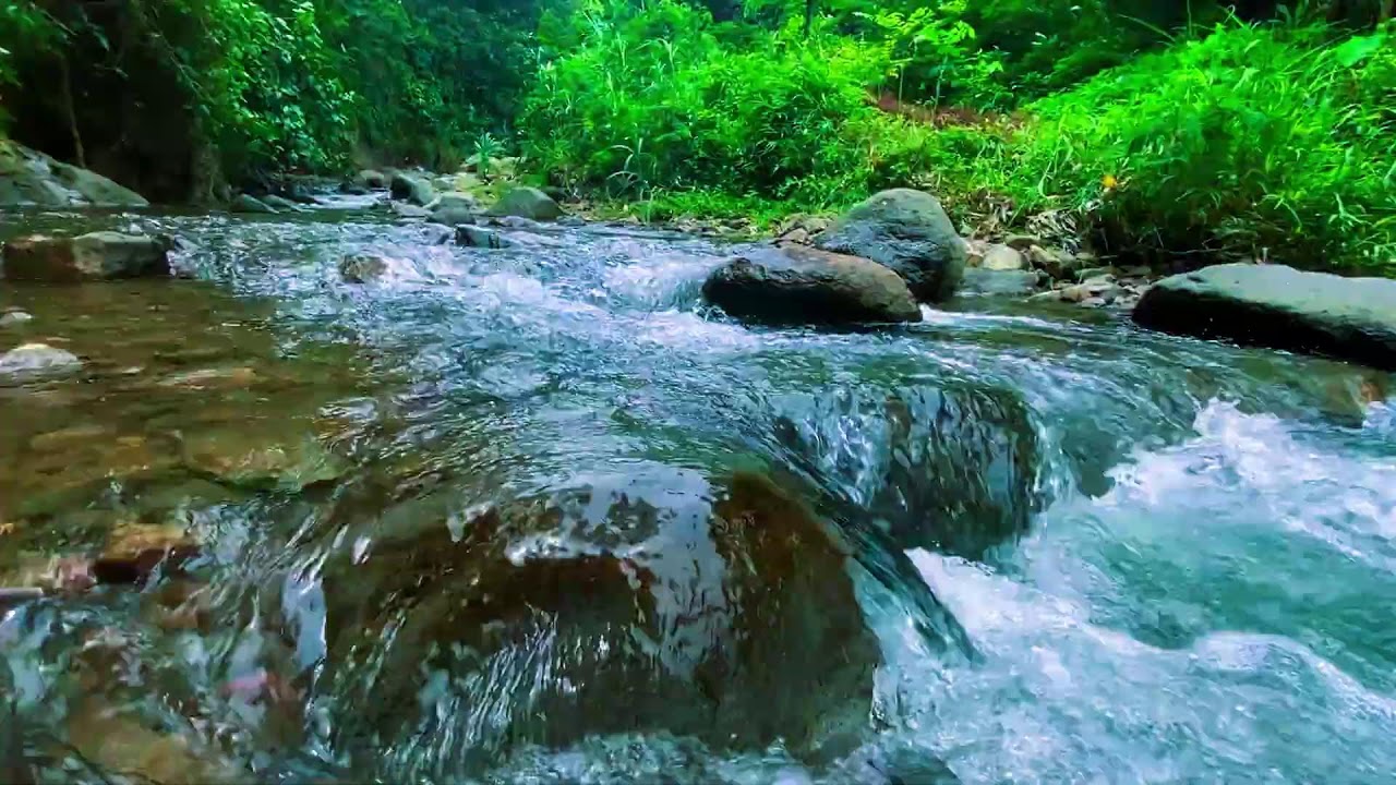 ТЫ ОТКЛЮЧИШЬСЯ МГНОВЕННО 😴 Успокаивающий поток воды в джунглях