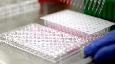 Generation of Genomic Deletions in Mammalian Cell Lines via CRISPR/Cas9