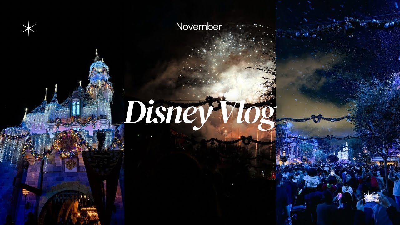 November Disney Vlog