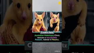 Top 5 Interesting Facts U Dont Know