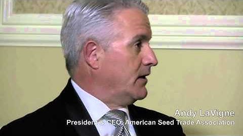 Giant Views - ASTA 128th Annual Convention - Andy LaVigne