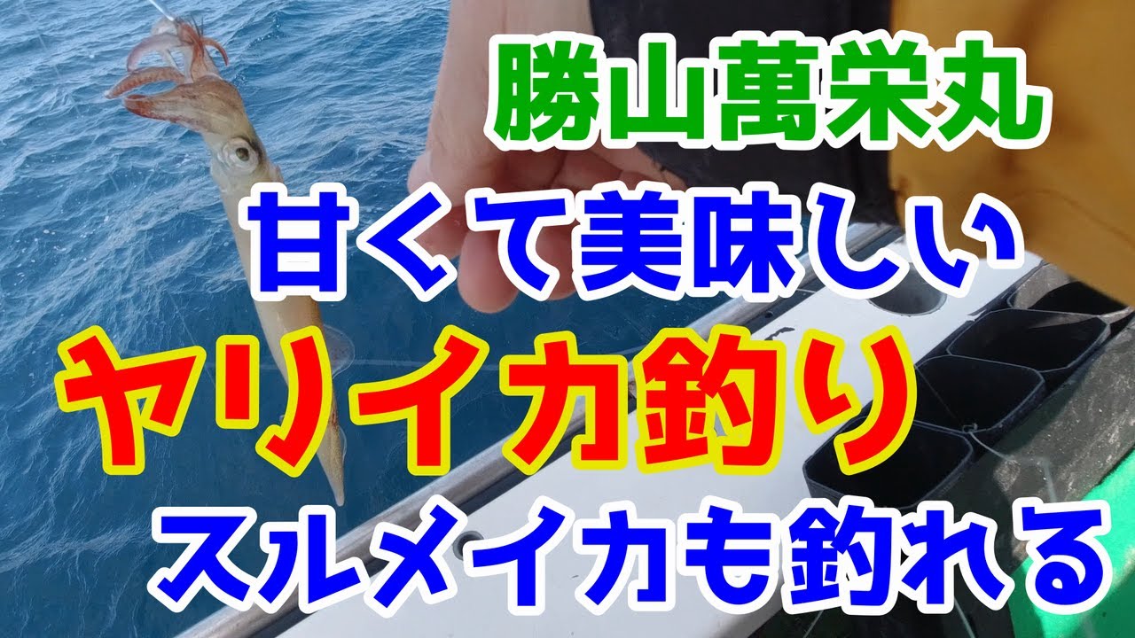 冬のヤリイカ釣り スルメイカも釣れて2倍楽しい Youtube