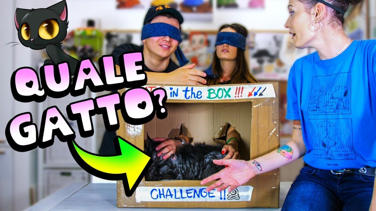 What S Cat In The Box Challenge Quale Gatto è Nella Scatola Youtube