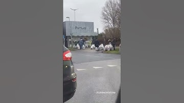 reverse vending machine and new year #danmark 🇩🇰 🍾