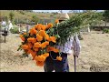 Tío Lorenzo  recuerda con cariño a su esposa y a su familia llevándoles flores al panteón.