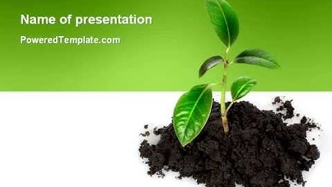 Life PowerPoint Template by PoweredTemplate.com
