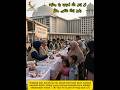 Yang Sampai Kepada Allah… Adalah Takwa #kisahnabi #ismail #ibrahim #qurban #jumroh #bakkah