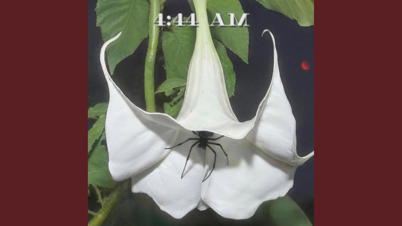 fadedtildeath.com (feat. kid trunk$$$ & Pocomota)