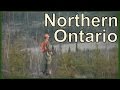 NORTHERN ONTARIO : BIG WOODS BUCKS