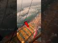 dangerous Sea Bottom trolling #shorts #facts #youtubeshorts