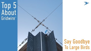5 Things To Know About Gridwire™