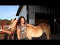 Horse Shelter Heroes - Episode 35 - August 20-26