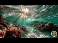 3 Hours Ocean Waves | Beach Waves at Night | Deep Sleep Sounds
