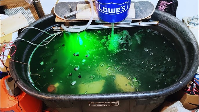 DIY Bait Tank & BioFilter Setup - Sucker minnows for Musky and Flathead 