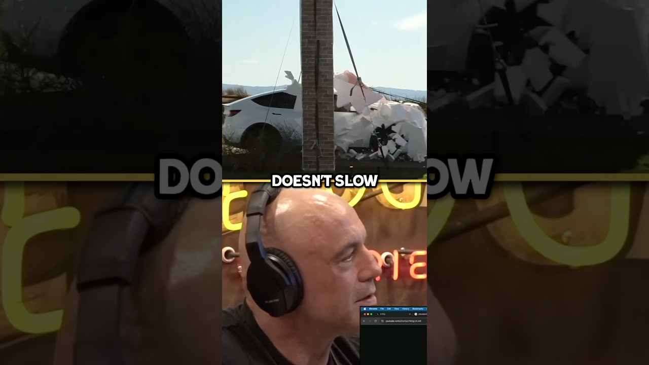 Joe Rogan Reacts To Tesla vs Fake Wall 