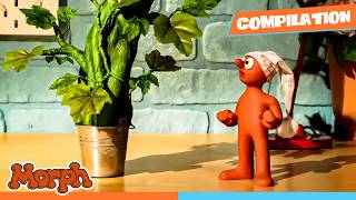 WHERE DOES THAT TREE LEAD? | Morph