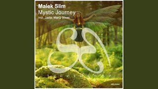 Mystic Journey (Original Mix)