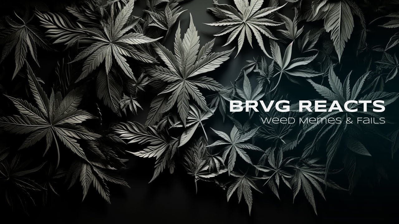 BRVG Reacts - @FatallyStoned Weed Memes and Fails