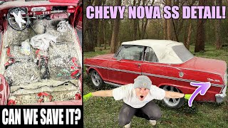 видео: Можно ли спасти?! Глубокая очистка затопленного Chevy Nova SS! | Реставрация деталей автомобиля картинка: Можно ли спасти?! Глубокая очистка затопленного Chevy Nova SS! | Реставрация деталей автомобиля