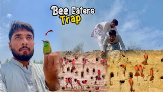 New Bee Eaters birds trap video //Shughal mela pet house 🏡