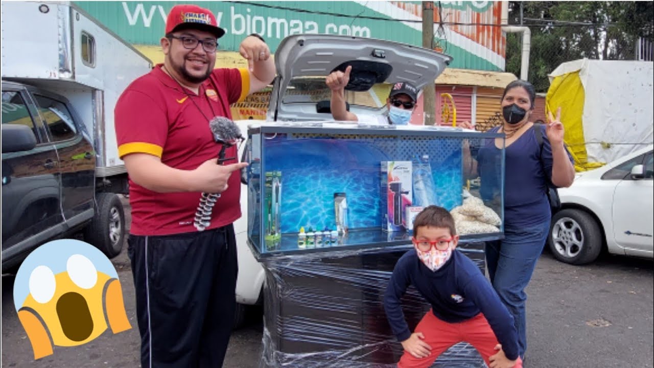 BUSCANDO PRECIOS Y TELEFONOS DE ACUARIOS EN MERCADO MIXHUCA