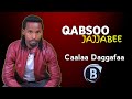 Qabsoo Jajjabbee L Caalaa Daggagaa L New Ethiopian Oromo Music 2024 Bilillee Andualem Gosa Vision Qabsoo Jajjabbee L Caalaa Daggagaa L New Ethiopian Oromo Music 2024 Bilillee Andualem Gosa Vision