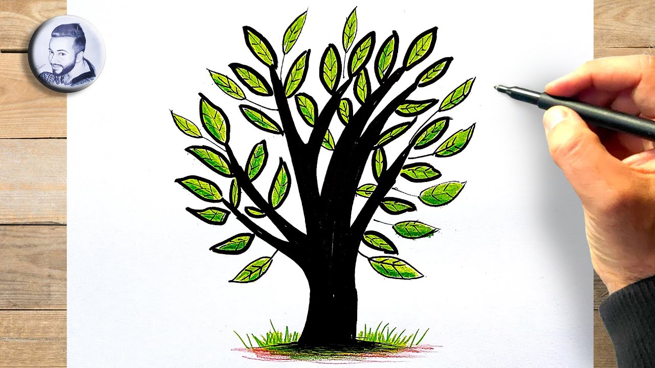 Comment Dessiner Une Feuille D'arbre Page De Garde Comment dessiner un arbre avec des feuilles - YouTube