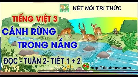 Cánh rừng trong nắng | Đọc Tiết 1+ 2 | Tiếng Việt 3 Kết nối | Tuần 2 Bài 3