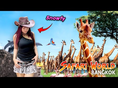 Safari တိရစ္ဆာန်ရုံထဲမှာ ထူးထူးဆန်းဆန်းအကောင်တွေ လိုက်ကြည့်ကြမယ် | BKK Safari World Vlog
