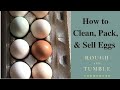How to Clean, Pack, and Sell Eggs