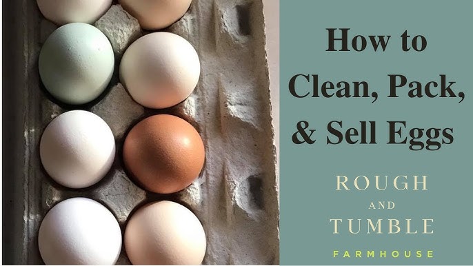 how do you clean farm fresh eggs without removing the bloom – VJP Poultry