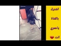 مستحيل اكو هيج شاب شوفو شسوه بحبيبته شكد عيب شبعو قهر شباب
