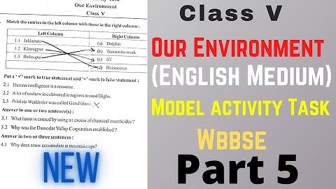 model activity task class 5 our environment in english