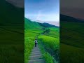 把酒叹平生 (人间半途) 蒋坤炜_993