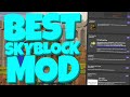 The BEST Quality of Life Hypixel Skyblock Mod!