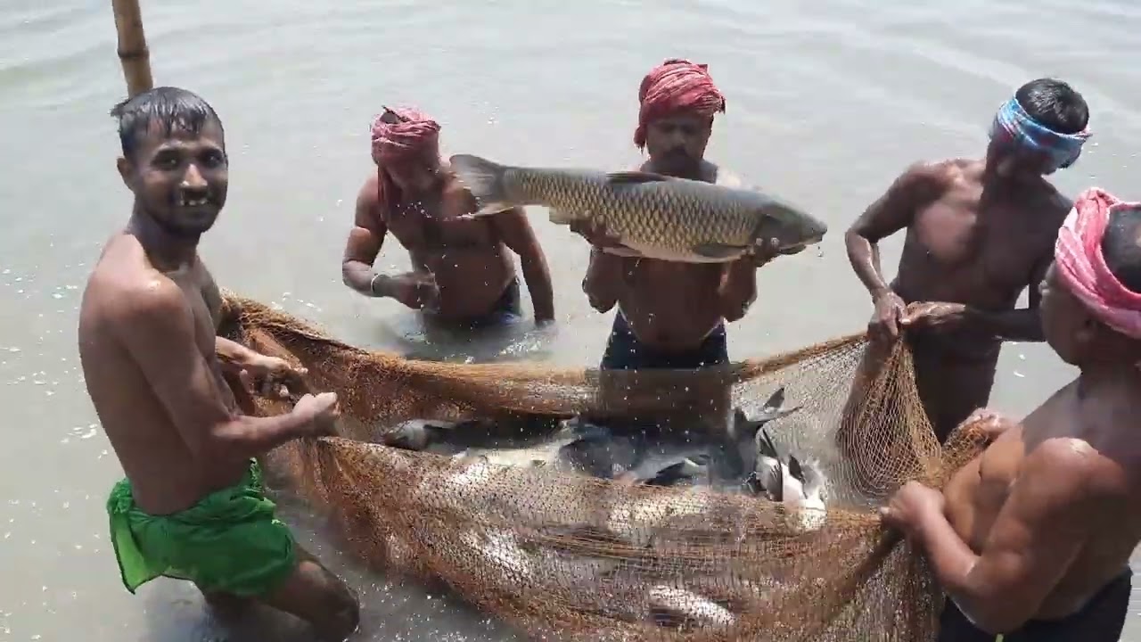 Fish Show at Banomalipur Meghnath Paul's Khad