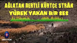 Yürek Yakan Bir Ses Ağlatan KÜRTÇE Uzun Havalar ( DENGBEJ ) Tüyleri Diken Diken Eden Damar KÜRTÇE✔️ Resimi