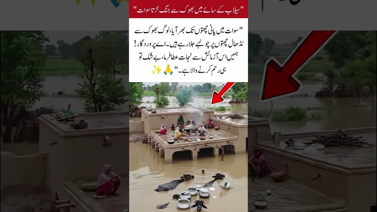 Swat Struggles Hunger Amid Floods