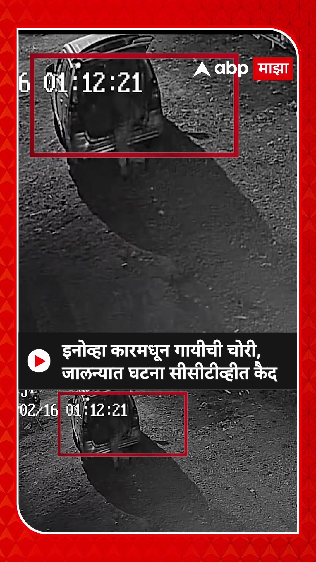 Jalna Cow Theft : इनोव्हा कारमधून गायीची चोरी, जालन्यात घटना सीसीटीव्हीत कैद #jalna #cow #thefts