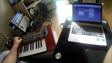 Nord Modular G1 patch # 2 - clock dividers and distortion