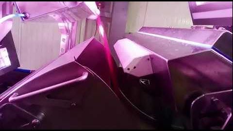 Dryce optical sorting machine for Red Currants | RAYTEC VISION SpA