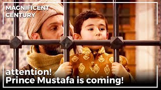 Prince Mustafa Watching Him Dad Magnificent Century