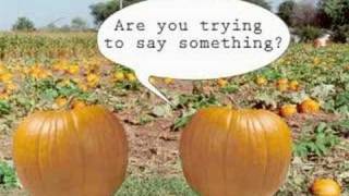 Pumpkins Talk Halloween
